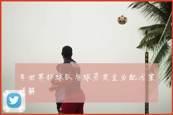 年世界杯球队与球员奖金分配方案详解
